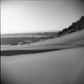 Dunes landscape(5)