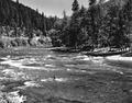 Fishing in the Umpqua River east of Roseburg, Oregon