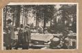 Women sitting at picnic table, men standing Image entitled ""Friend Picnic, 1918""
