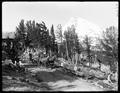 Stagecoach leaving Cloud Cap inn, Mount hood in background.  U.S. Flags sticking from harnesses on horses.