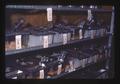 Cages in Small Animal Lab, Oregon State University, Corvallis, Oregon, June 1974