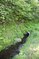 Glacier Irrigation Ditch, Middle Fork Irrigation District (Parkdale, Oregon)