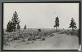 Dirt road and field, Eastern Oregon, circa 1920