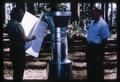 George McNew and colleague with bark beetle trap, 1963