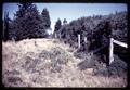 Gorse control near Port Orford, Oregon, circa 1965