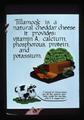Tillamook Creamery cheddar cheese poster, 1979