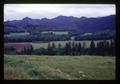 Sheep pasture, Scholls, Oregon, circa 1970