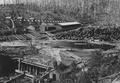 Sawmill and flume that carries lumber from sawmill to planing mill four miles away at Bridal Veil, Oregon (B. V. Lumber Company)