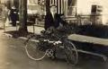 Rose Parade bicycle