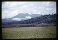 Grass field pastured by sheep near Marys Peak, Oregon, circa 1960