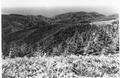 Looking northwest from Fairview Peak.