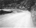 During the summer of 1969, a portable yarder and truck that was owned by the Northern Lumber Co. rolled off the edge of the Cape Perpetua auto tour road.  Here the stell tower lays along the shoulder of the road after it had been retrieved.