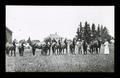 Mare and her 9 colts - all sound - Yamhill County