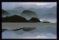 Tide Pool, Ecola