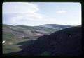 Cow on hillside, The Dalles Extension Service, Oregon State University, March 27, 1968