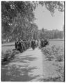 Commencement processional, June 1960