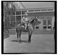 E. L. "Dad" Potter, Animal Husbandry professor, posing with a horse, May 1964