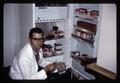 Dr. William Stephen with soda straws holding leaf cutter bee larvae, 1964