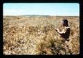 Wilson Foote in Benton barley field, Rickreall, Oregon, circa 1972