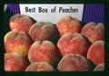 Best Box of Peaches, Oregon State Fair, Salem, Oregon, circa 1973
