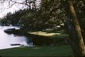 Gravelly Lake (Ponders, Washington)