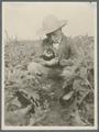 Leo Thompson with eggplant