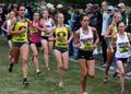 Taylor Wallace, Megan Patrignelli & Molly Grabill, 2011