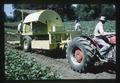 Bush bean harvester, circa 1965