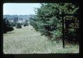 Deer in North Albany Park, Albany, Oregon, July 1976