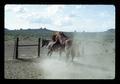 Horses copulating at Reub Long ranch, Lake County, Oregon, June 16, 1972