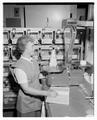 Margaret Millsap weighing white rat used in irradiated food research, 1958