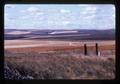 Wheat field and fallow field north of Pendleton, Oregon, 1977