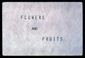 Flowers and Fruits presentation slide, circa 1970