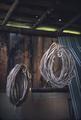 Coils of dried hide hanging in shed before braiding