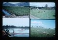 Composite slide of cranberry bog, sheep, cattle, and crops, 1976