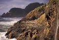 Heceta Head and Sea Lion Point including sea lions