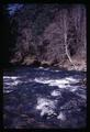 Clean water in South Santiam River, Linn County, Oregon, circa 1970