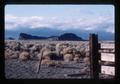 Fort Rock with corral fence, Oregon, November 1967