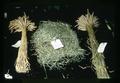 Baled alfalfa hay and Timothy sheaf, Jefferson County Fair, Madras, Oregon, August 1972