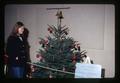 September Tree in Trees for all Seasons display, Oregon State University, Corvallis, Oregon, August 1972