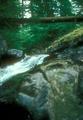 Sweet Creek Falls(2)