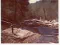 Looking downstream on the North Fork Yachats River.  Drift extends 150 feet and the fish passage s blocked.