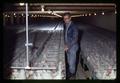 Flock manager in hen house at Allen Tom Poultry Farm, Rufus, Oregon, May 23, 1970