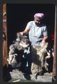 Dried buckskin--before initial treatment (scraping) and dried buckskin after scraping