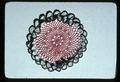 Green, white, pink crocheted doily