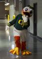 Duck mascot, 2015