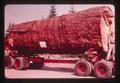 Large log on truck, Oregon, 1980