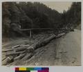 Cedar logs dumped into Coquille River from Coos Bay wagon road, awaiting high water. (recto)