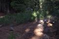 Army Corps of Engineers Road System (Crater Lake, Oregon)