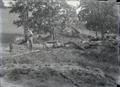 Man next to felled and cut up tree